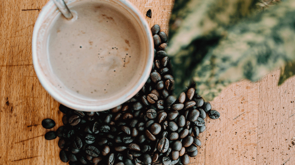 Leaf Rust - The Enemy Of The Coffee Plant