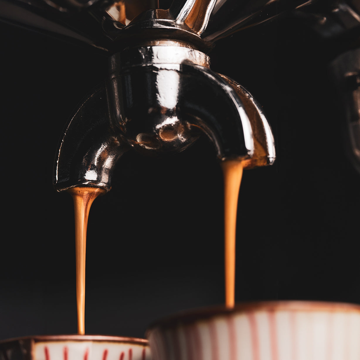 Romulus And Remus Coffee - Clean Coffee Machine